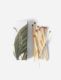 Botanical Safety Matches