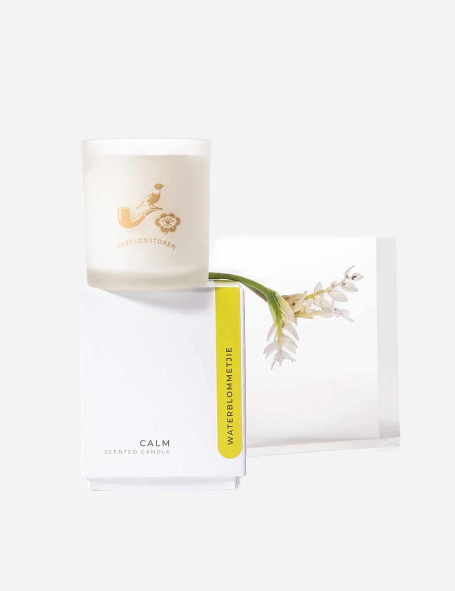 Waterblommetjie Candle