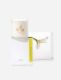 Waterblommetjie Candle