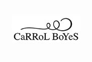 Picture for category Carrol Boyes