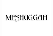 Picture for category Meshuggah